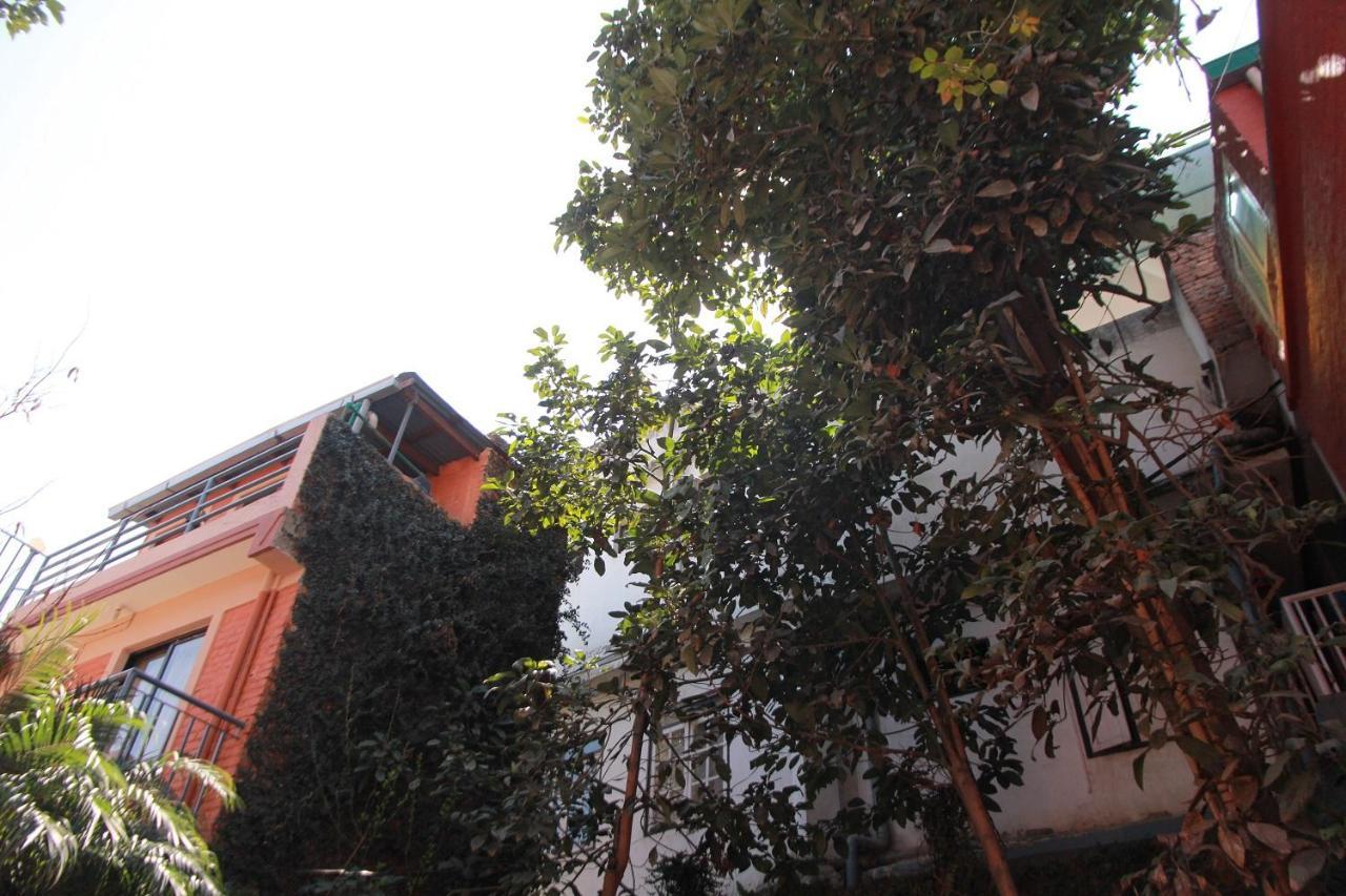 Ojas Wellness B&B Lalitpur Extérieur photo